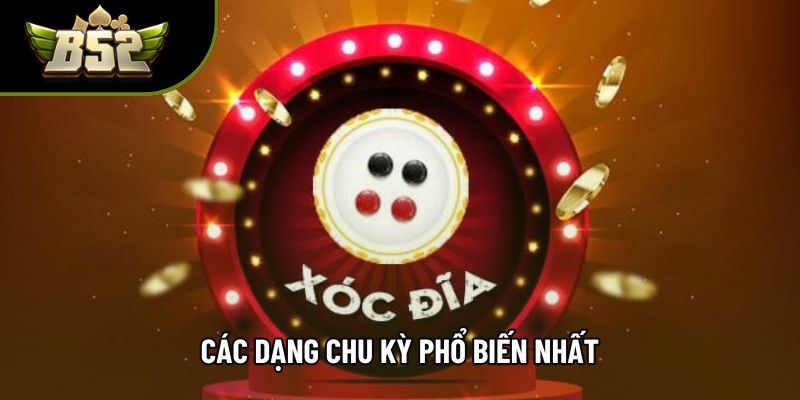 Các dạng chu kỳ phổ biến nhất Các dạng chu kỳ phổ biến nhất